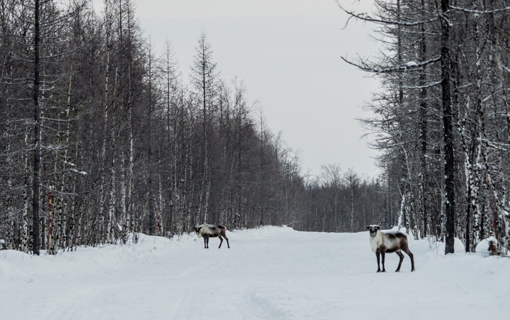 WYPRAWA NA SYBERIĘ
