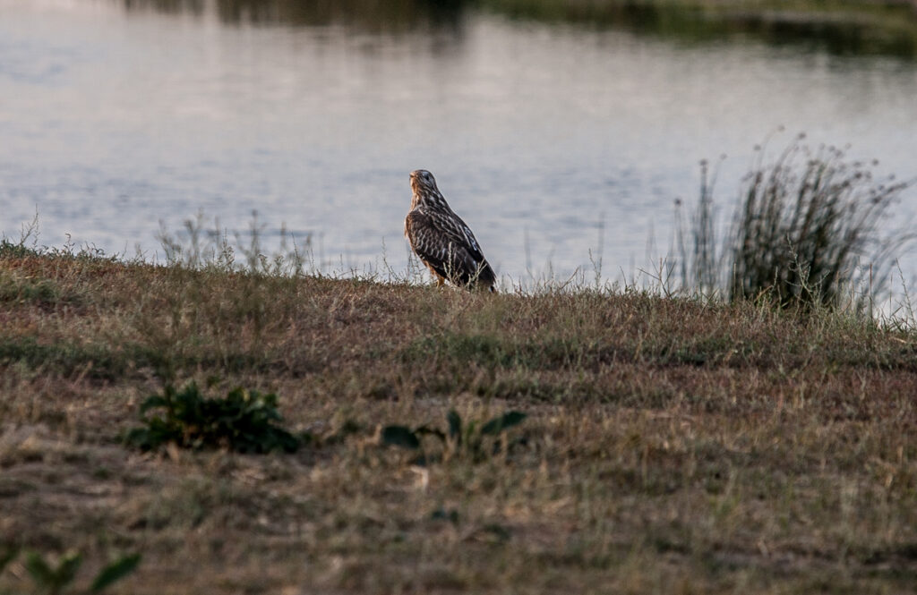 WYPRAWA JEDWABNYM SZLAKIEM BEZASFALTU