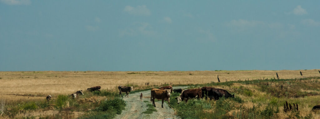 WYPRAWA JEDWABNYM SZLAKIEM BEZASFALTU