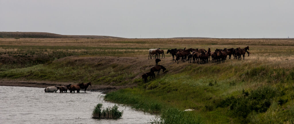 WYPRAWA JEDWABNYM SZLAKIEM BEZASFALTU
