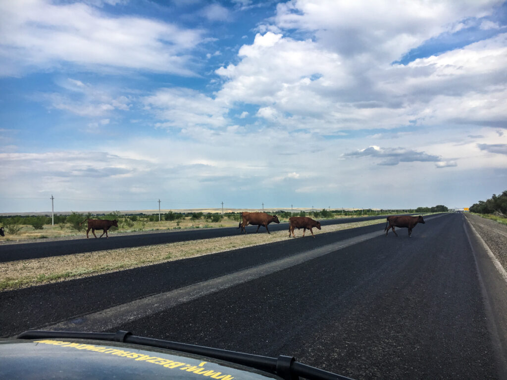 WYPRAWA JEDWABNYM SZLAKIEM BEZASFALTU